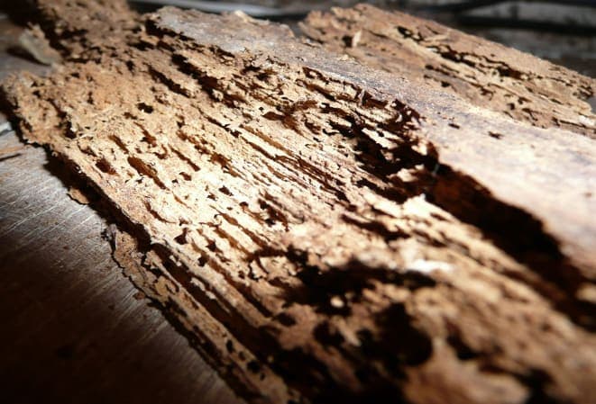 bois abimé